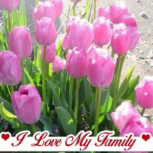 Meet your Posher, Jackie woods